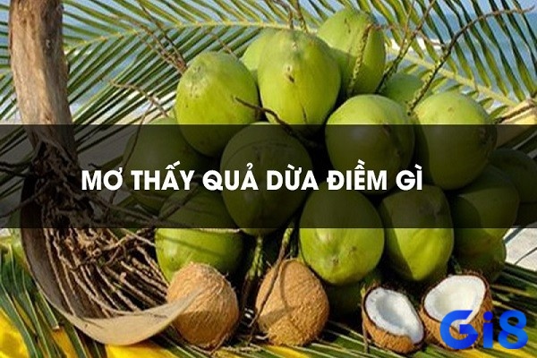 Mơ thấy quả dừa đánh con gì - Luận giải chiêm bao cực hay 