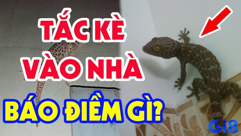 Giấc mơ thấy con tắc kè đánh đề số mấy dễ trúng lớn, may mắn